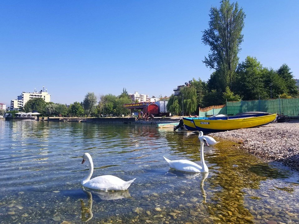 View of Pogradec Lake with swans, showcasing its tranquil beauty and serene waterscape.